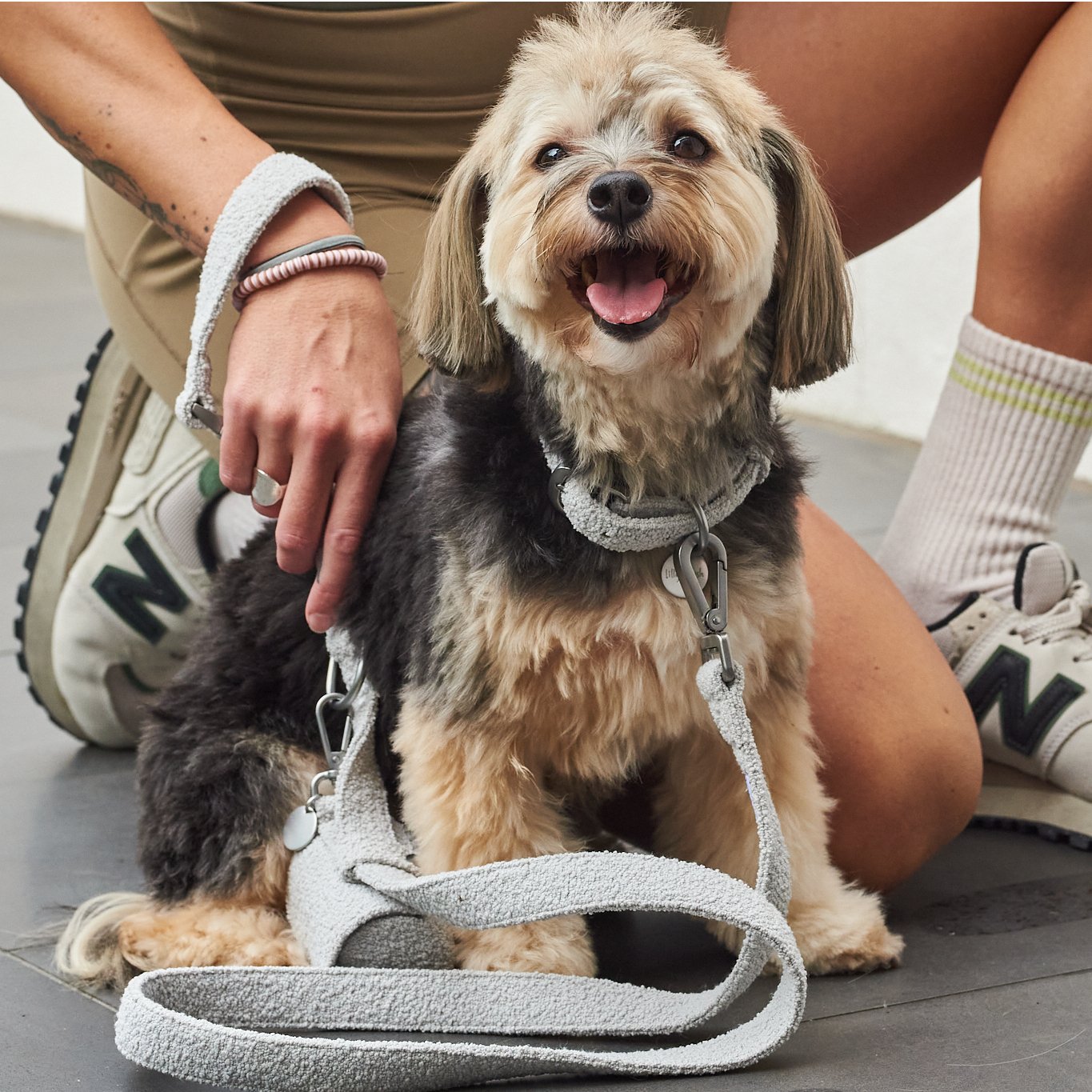 leashes